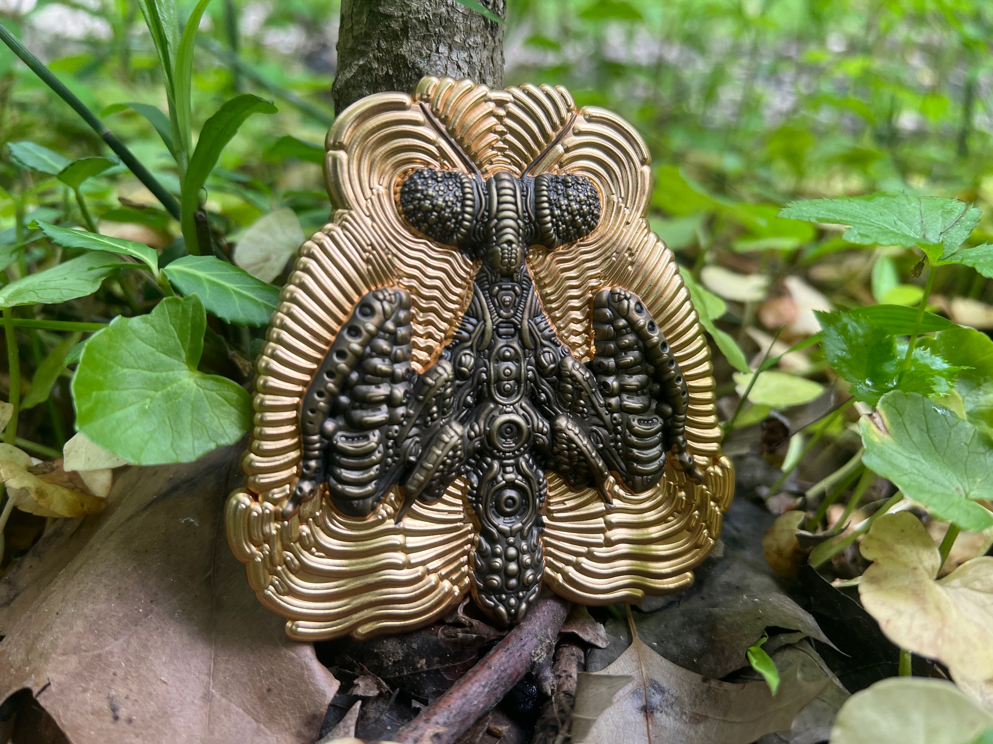 Mantis 3D | Ridgway | Choose your variant