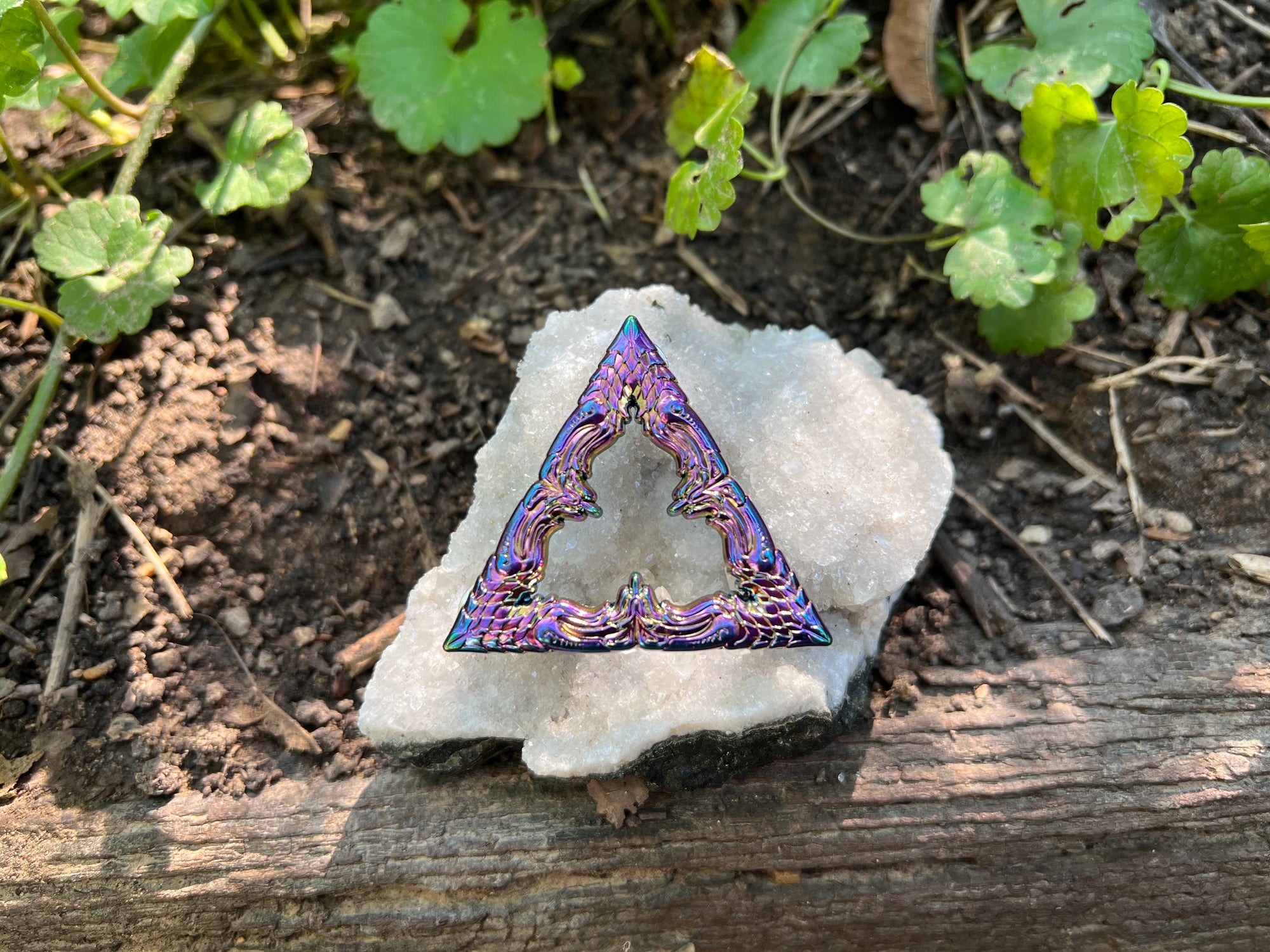 Sect of the Triangle